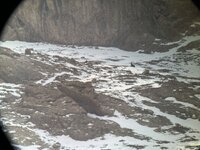 IMG_3433.jpeg
