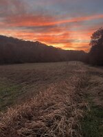 IMG_9734.jpeg