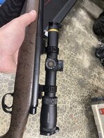 IMG_6588.jpeg