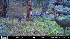 HUNT0136_copy_800x449.jpg