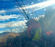 IMG_2500.jpeg