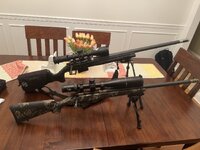 IMG_1219.jpeg