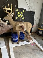 IMG_1223.jpeg