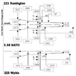223 v wylde v 5.56 chambers.jpg
