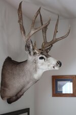 IMG_1996 - Copy.jpg