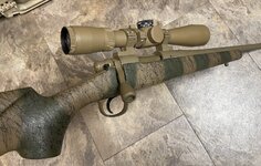 IMG_1515.jpeg
