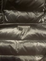 IMG_8870.jpeg