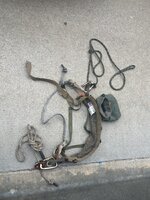 IMG_3330.jpeg