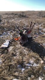 IMG_6755.jpeg