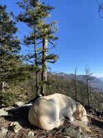 IMG_2638.jpeg