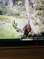 65B400BE-DD78-4268-B196-48EE42E05E93.jpeg