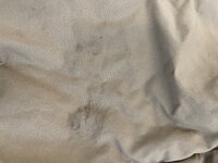 IMG_1276.jpeg
