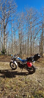 20231020_105711.jpg