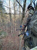 IMG_9749.jpeg
