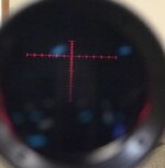 31BBA5A9-FC6D-484E-8AB2-D9C15938F1E3.jpeg