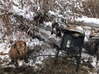 IMG_1475.jpeg
