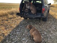 IMG_1496.jpeg
