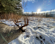 IMG_7355.jpeg