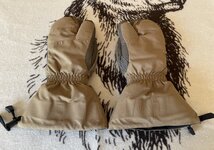 IMG_9349.jpeg