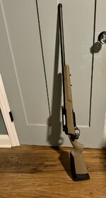 IMG_8232.jpeg