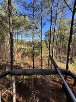 IMG_1006.jpeg