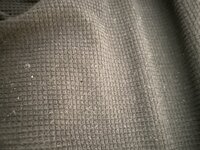 IMG_9649.jpeg