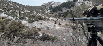 20231124_164136.jpg 20231124_164136.jpg