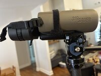 IMG_7203.jpeg