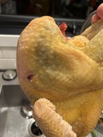 IMG_0921.jpeg