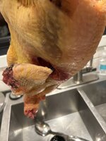 IMG_0922.jpeg