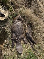 IMG_7797.jpeg