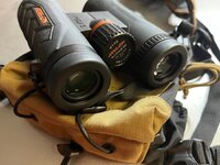 IMG_4470.jpg IMG_4470.jpg