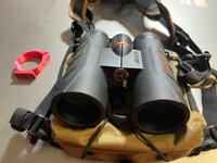 IMG_4472.jpg IMG_4472.jpg