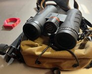 IMG_4474.jpg IMG_4474.jpg