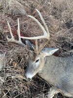IMG_5240.jpeg