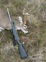 IMG_0375.jpeg