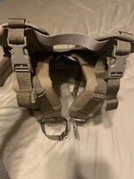 IMG_2941.jpeg