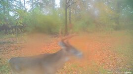 IMG_9907.jpeg IMG_9907.jpeg