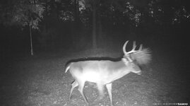 IMG_9888.jpeg IMG_9888.jpeg