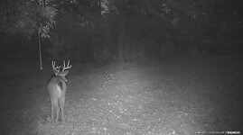 IMG_9894.jpeg IMG_9894.jpeg