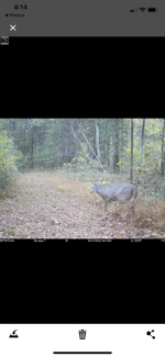 IMG_6536.png IMG_6536.png