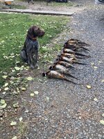 IMG_9872.jpeg