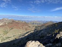IMG_2324.jpeg