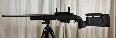 IMG_2847.jpeg