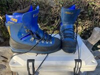 IMG_3590.jpeg