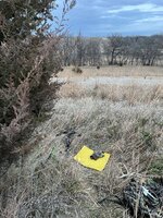 IMG_5440.jpeg