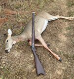 265528-MuzzleDeer-20231023.jpg 265528-MuzzleDeer-20231023.jpg