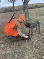 IMG_3958.jpeg