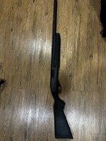 IMG_2351.jpeg