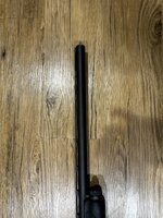 IMG_2354.jpeg